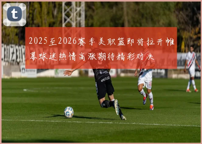 2025至2026赛季美职篮即将拉开帷幕球迷热情高涨期待精彩对决