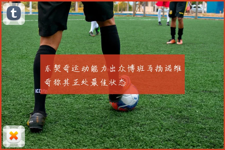 东契奇运动能力出众博班马扬诺维奇称其正处最佳状态