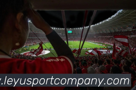 App Interface Preview