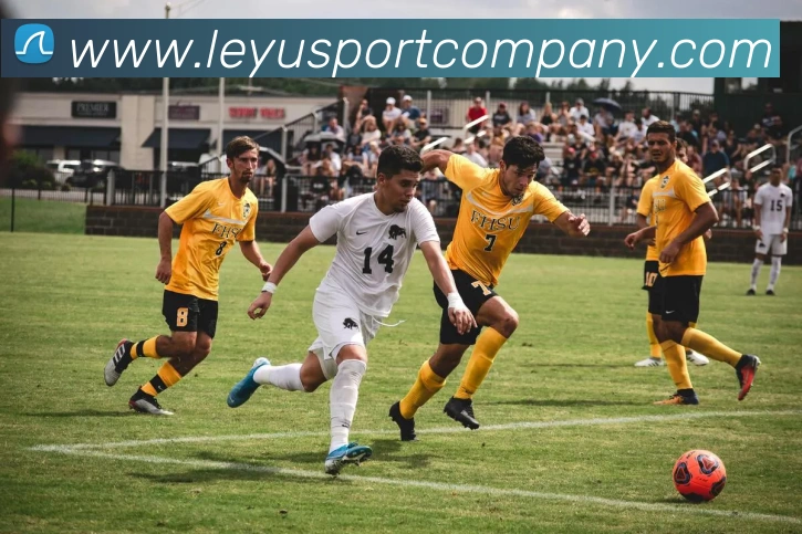 乐鱼体育APP 封面图