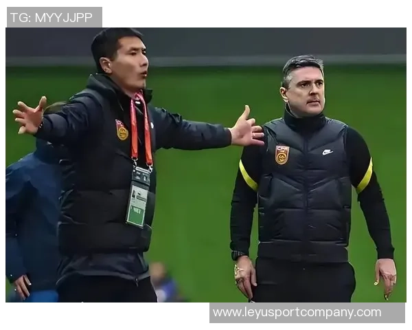 国家队新征召毛雷尔与杨智应随邵佳一共赴国际赛场